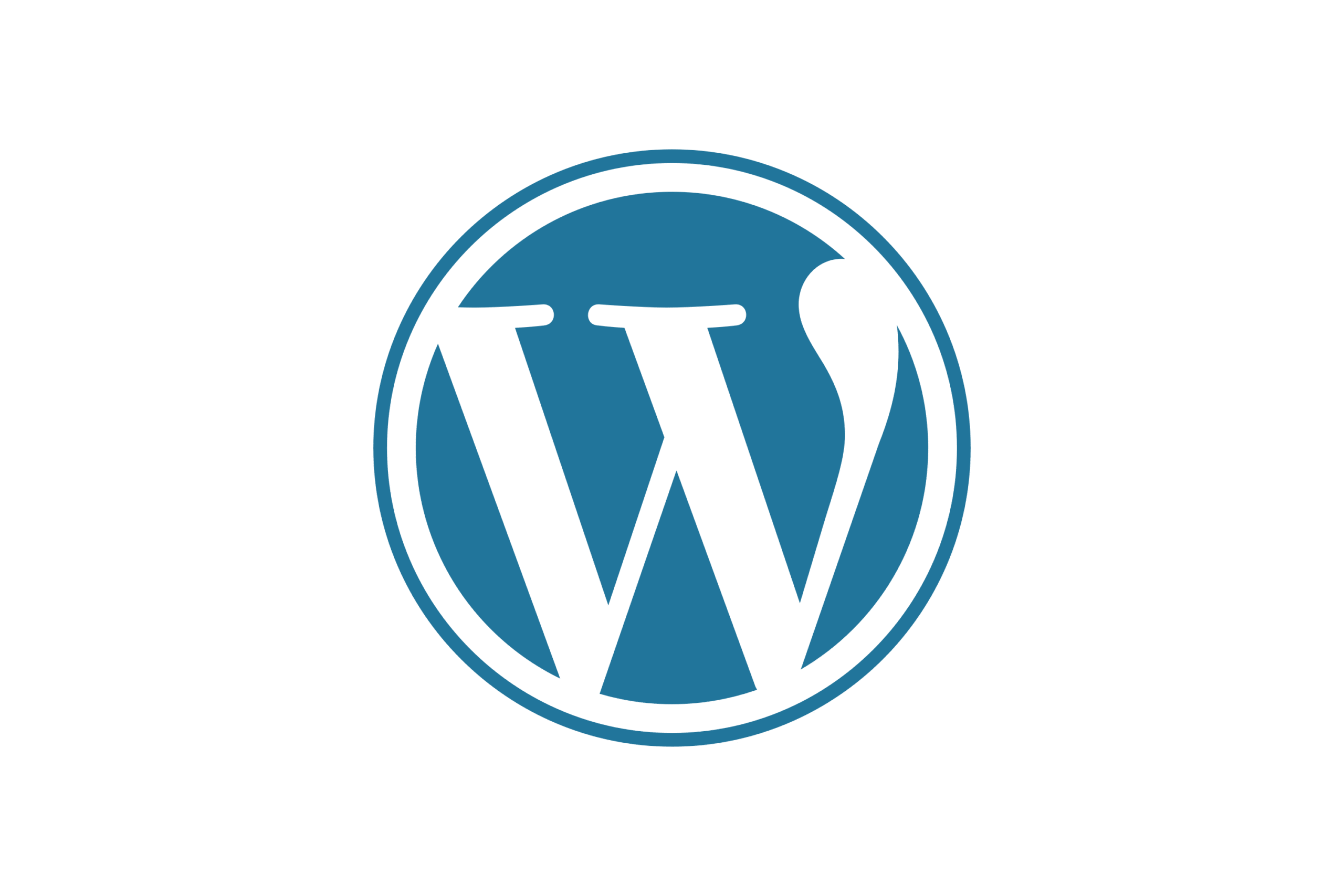 Website Designer